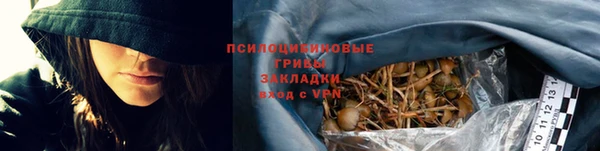 трава Богданович